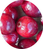 KOSHER CRANBERRY RECIPES - WWW.KOSHERDELIGHT.COM: CRANBERRY-PEAR RELISH, APPLE CRANBERRY CRISP, CRANBERRY SOUCE WITH CARAMELIZED ONIONS, PEAR-CRANBERRY SAUCE, FESTIVE CRANBERRY SAUCE, CRANBERRY-APPLE CHUTNEY, HONEY CRANBERRY SAUCE, QUECK FRESH ORANCE CRANBERRY SAUCE, CHANUKAH CRANBERRY CANDLES