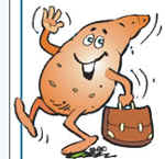 KOSHER POTATO RECIPES