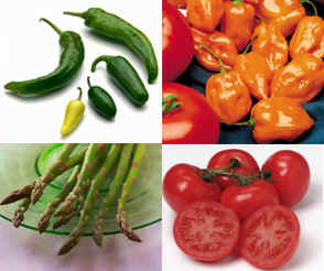 KOSHER SALAD RECIPES   מתכונים כשרים: סלטים